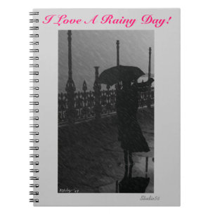 J'aime un jour pluvieux, journal