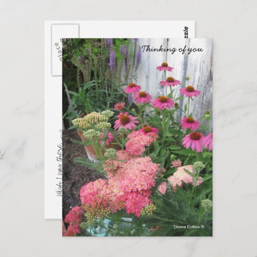 J'Aimerais Y Avoir Une Carte Postale (Devant / Derrière)