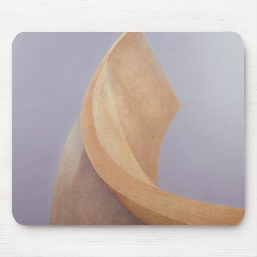 Jaipur Observatory Muismat (Voorkant)