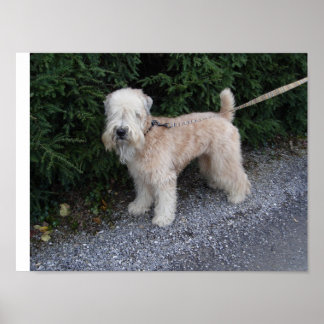 Jake bij de Biltmore Poster