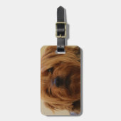 Jake The Yorkie Terrier Bagagelabel (Voorkant verticaal)