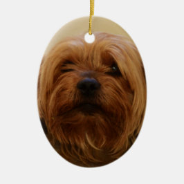 Jake The Yorkie Terrier Keramisch Ornament