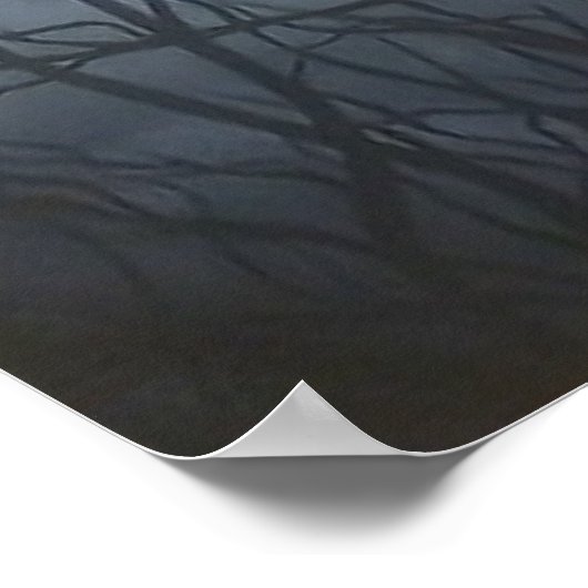 Jake's Moon Poster (Hoek)