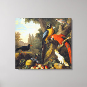 Jakob bogdani Two Macaws a Cockato a Red-billing Canvas Afdruk