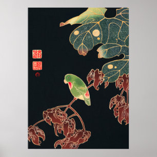 Jakuchu - De paroquet Poster