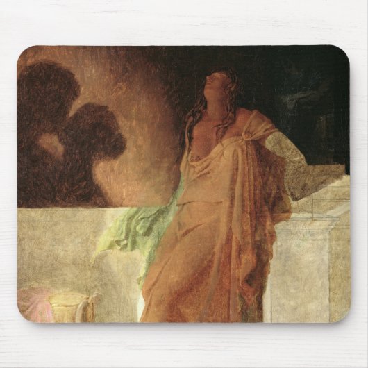 jaloezie muismat (Voorkant)