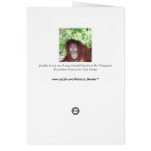 Jalousie : Beau Orangoutan aux cheveux rouges (Dos)