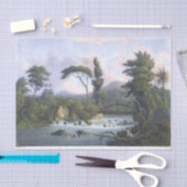 Jamaica Cabarita, Westmoreland Tissuepapier (Craft)