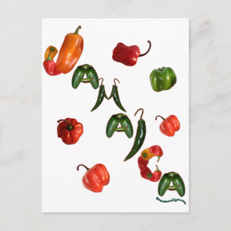 Jamaica Chili Peppers Briefkaart