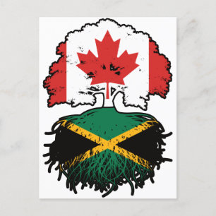 Jamaica Jamaican Canadian Canada Tree Roots Flag Briefkaart