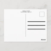 Jamaica Photo Collage Briefkaart (Achterkant)