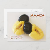 Jamaican Ackee Briefkaart (Voorkant / Achterkant)