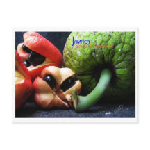 Jamaican Ackee Fruit and Breadfruit