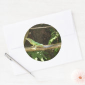 Jamaican Green Lizard Ronde Sticker (Envelop)