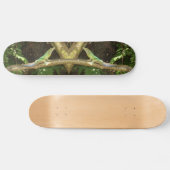Jamaican Green Lizard Skateboard (Horizontaal)
