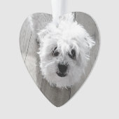 JAMAIS DANS NOS COEURS Pet Memorial PHOTO Keepsaké (devant)