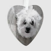 JAMAIS DANS NOS COEURS Pet Memorial PHOTO Keepsaké (devant)