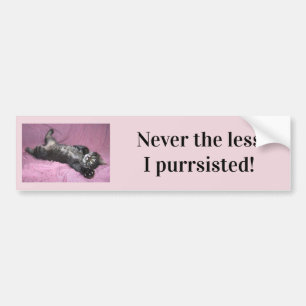Jamais moins que je n'ai acheté Bumper Sticker