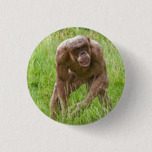 Jambo de unieke haarloze chimpansee ronde button 3,2 cm