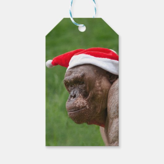 Jambo in een kerst Pet Cadeaulabel (Voorkant)