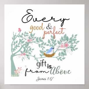 James 1:17 Elk goed en perfect cadeau-Poster Poster