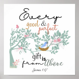 James 1:17 Elk goed en perfect cadeau-Poster Poster