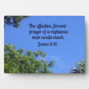 James 5:16 Het effectieve, fervent gebed... Fotoplaat