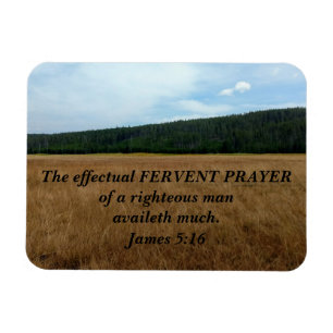 James 5:16 Het effectieve fervent gebed van een Magneet