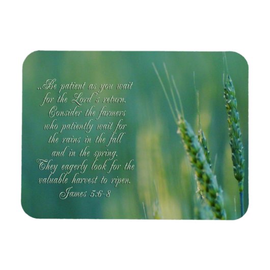 James 5:6-8 DoorzettingsInspirerend Magneet (Horizontaal)