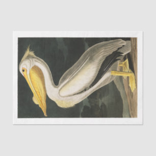 James Audubon Pelican Decoupage Tissue Nautical Tissuepapier