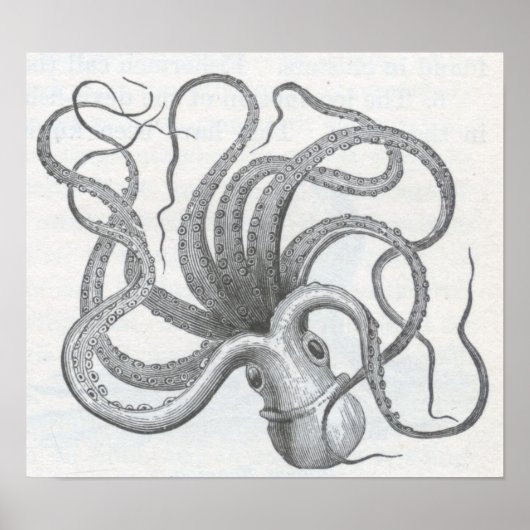 James Johonnot - Octopus Poster (Voorkant)