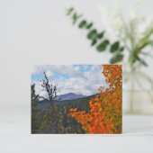 James Peak, Colorado Briefkaart (Staand voorkant)