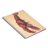 James Sowerby Carnet de homard sergé (Côté Droit)