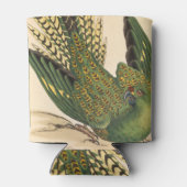 James Sowerby Ground Parrot, Psittacus terrestris Blikjeskoeler (Achterkant)