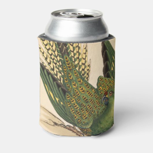 James Sowerby Ground Parrot, Psittacus terrestris Blikjeskoeler (Blikje Achterkant)