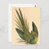 James Sowerby Ground Parrot, Psittacus terrestris Briefkaart (Voorkant / Achterkant)