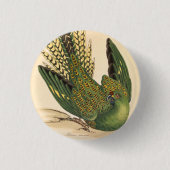 James Sowerby Ground Parrot, Psittacus terrestris Ronde Button 3,2 Cm (Voorkant)