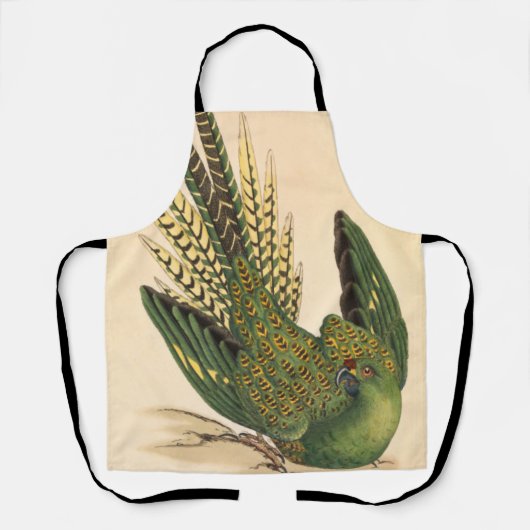 James Sowerby Ground Parrot, Psittacus terrestris Schort (Voorkant)