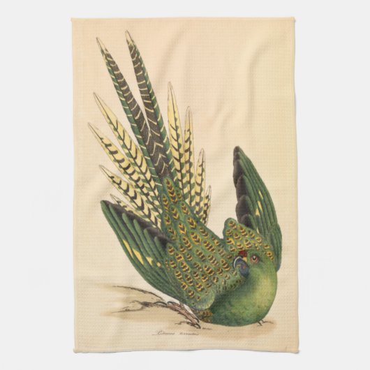 James Sowerby Ground Parrot, Psittacus terrestris Theedoek (Verticaal)