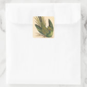 James Sowerby Ground Parrot, Psittacus terrestris Vierkante Sticker (Tas)