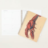James Sowerby Homard serbé (Devant avec enveloppe)