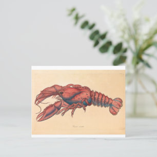 James Sowerby Serrated Lobster Briefkaart