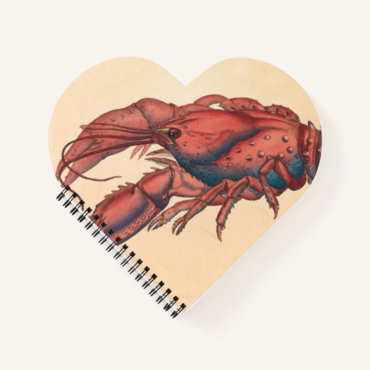 James Sowerby Serrated Lobster Notitieboek (Voorkant)