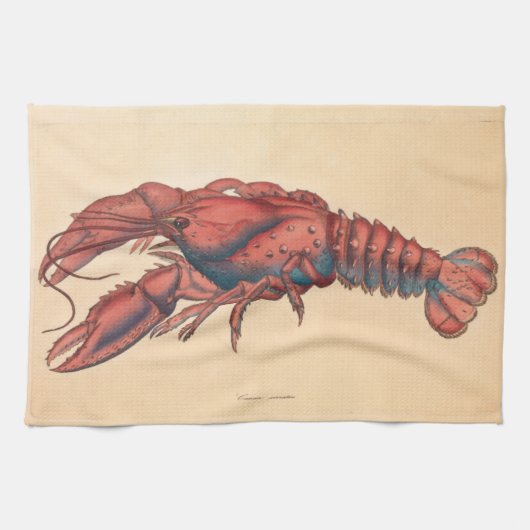 James Sowerby Serrated Lobster Theedoek (Horizontaal)