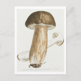 James Sowerby's Gekleurde figuren van Engelse schi Briefkaart