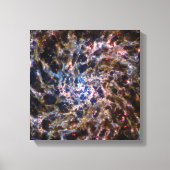 James Webb Space Telescope Spiral Galaxy IC 5332 Canvas Afdruk (Voorkant)