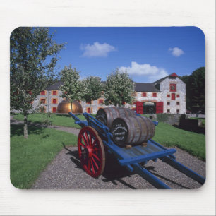 Jamesons Whisky Heritage Centre, Midleton, Muismat