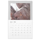 Jan Fitzgerald Calendrier de la photographie par J (Mar 2026)