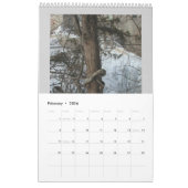 Jan Fitzgerald Calendrier de la photographie par J (Feb 2026)