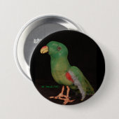 Jan Shackelford Parrot Button Electus (Voorkant /achterkant)